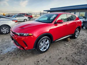 2024 DODGE HORNET R/T