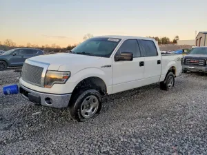 2010 FORD F-150