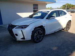 2025 LEXUS UX 300H BA