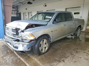 2009 DODGE All Models