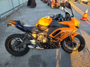 2025 KAWASAKI EX650 P