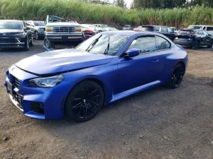 2024 BMW MOTORRAD M2