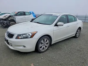 2010 HONDA ACCORD