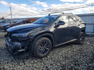 2022 LEXUS NX 350