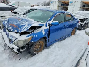 2010 TOYOTA COROLLA