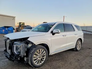 2020 HYUNDAI PALISADE