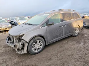 2013 HONDA All Models