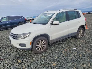 2017 VOLKSWAGEN TIGUAN