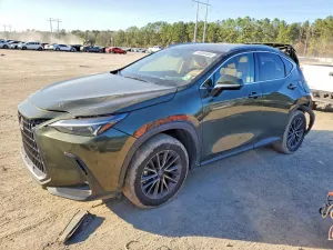 2024 LEXUS NX 250 PRE