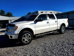 2010 FORD F-150