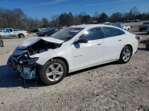 2019 CHEVROLET MALIBU