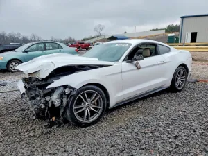 2015 FORD ALL Models