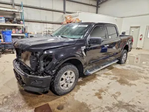 2024 FORD All Models