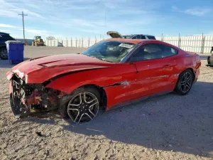 2021 FORD ALL Models