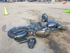 2023 INDIAN MOTORCYCLE CO. SCOUT ROGU