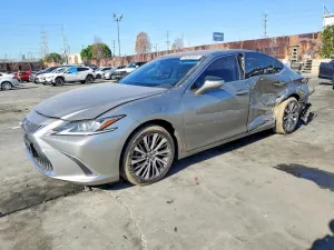 2019 LEXUS ES300