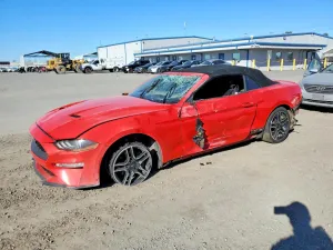 2020 FORD ALL Models