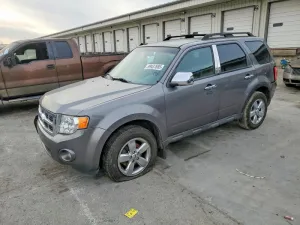 2010 FORD ESCAPE
