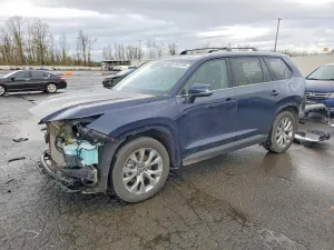 2024 TOYOTA GRAND HIGH