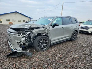 2025 LEXUS TX 500H F