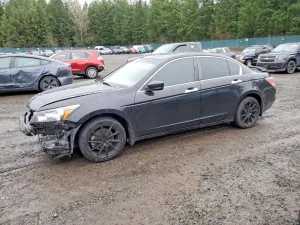 2011 HONDA ACCORD