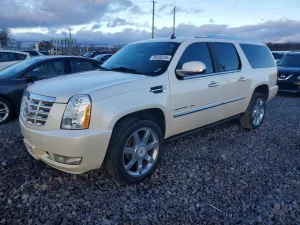 2010 CADILLAC ESCALADE