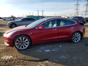 2019 TESLA MODEL 3