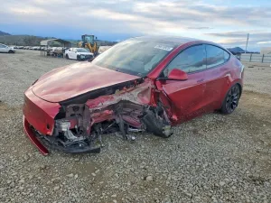 2024 TESLA MODEL Y