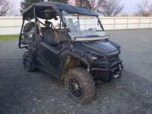 2019 HONDA SIDEBYSIDE