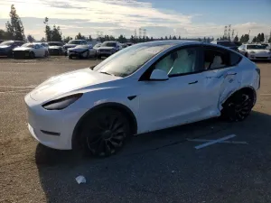 2024 TESLA MODEL Y