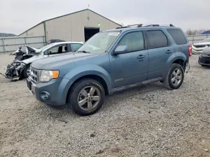 2010 FORD ESCAPE