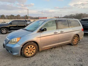 2010 HONDA All Models