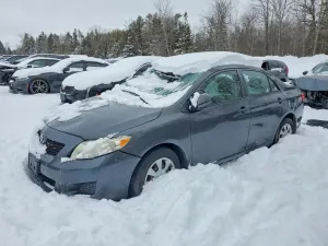 2010 TOYOTA COROLLA