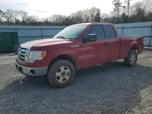 2009 FORD F-150