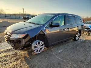 2014 HONDA All Models