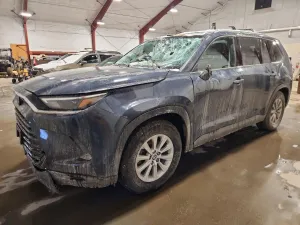 2024 TOYOTA GRAND HIGH