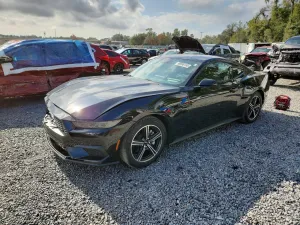 2025 FORD ALL Models