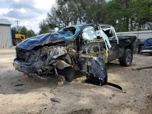 2019 CHEVROLET SILVERADO