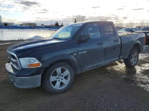 2010 DODGE All Models