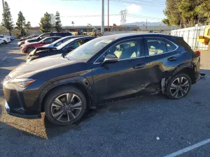 2019 LEXUS UX 200