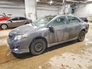 2010 TOYOTA COROLLA