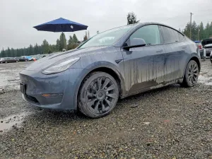 2020 TESLA MODEL Y