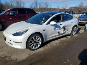 2019 TESLA MODEL 3